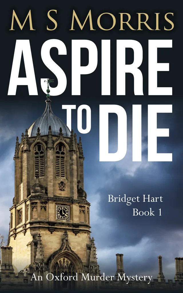 Aspire to Die book cover