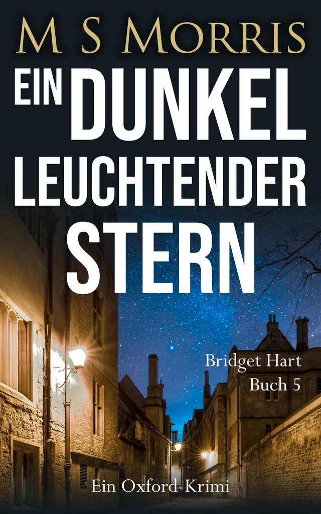 Buchcover von „Ein dunkel leuchtender Stern“